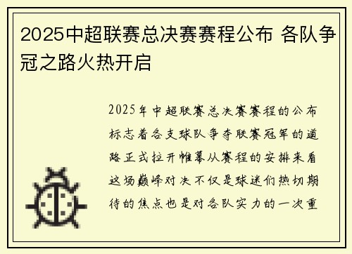 2025中超联赛总决赛赛程公布 各队争冠之路火热开启